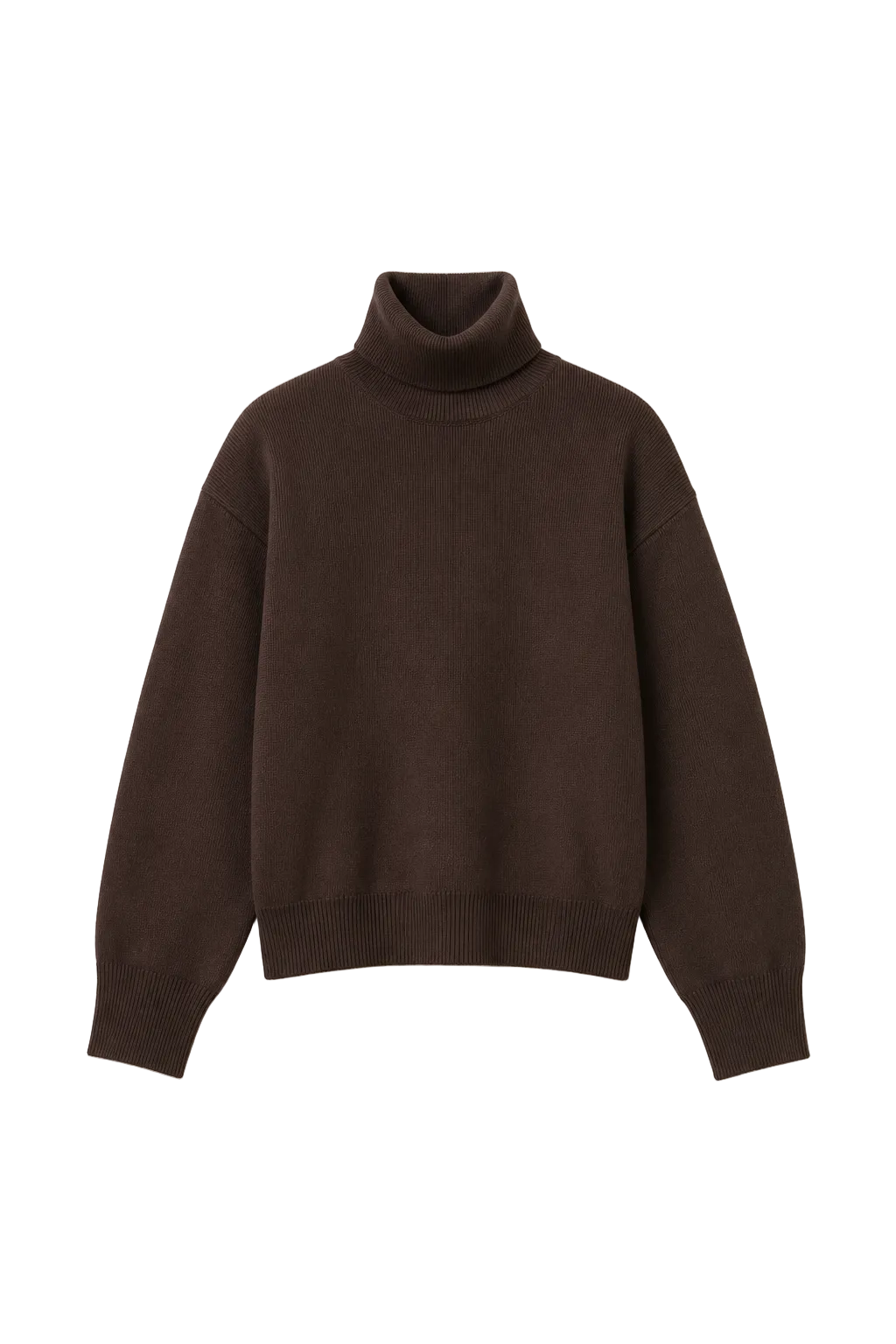 GELSO TURTLENECK SWEATER | dark brown