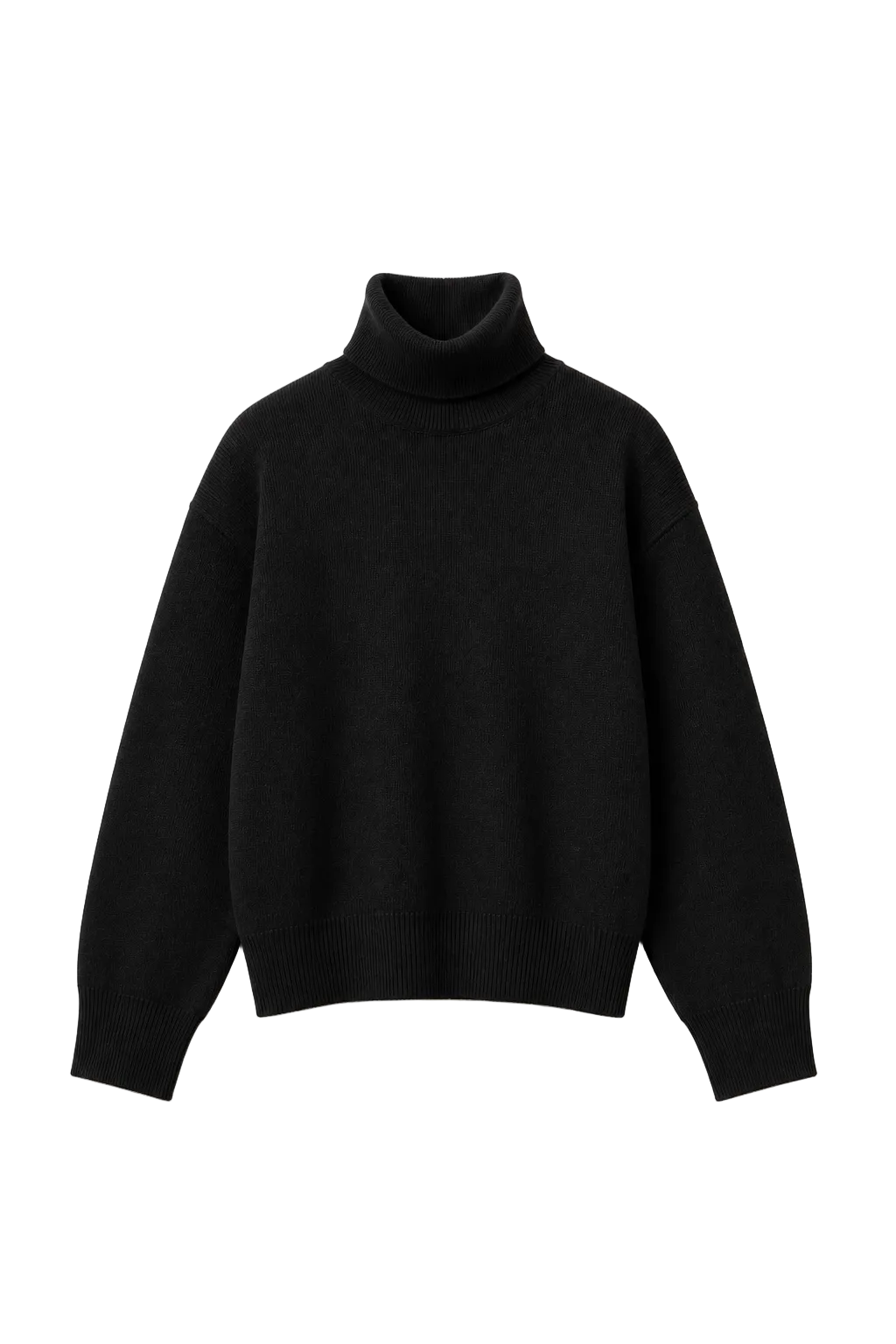GELSO TURTLENECK SWEATER | black
